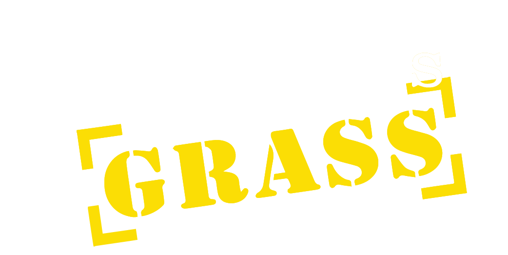 Kick Your neighbour's Grass